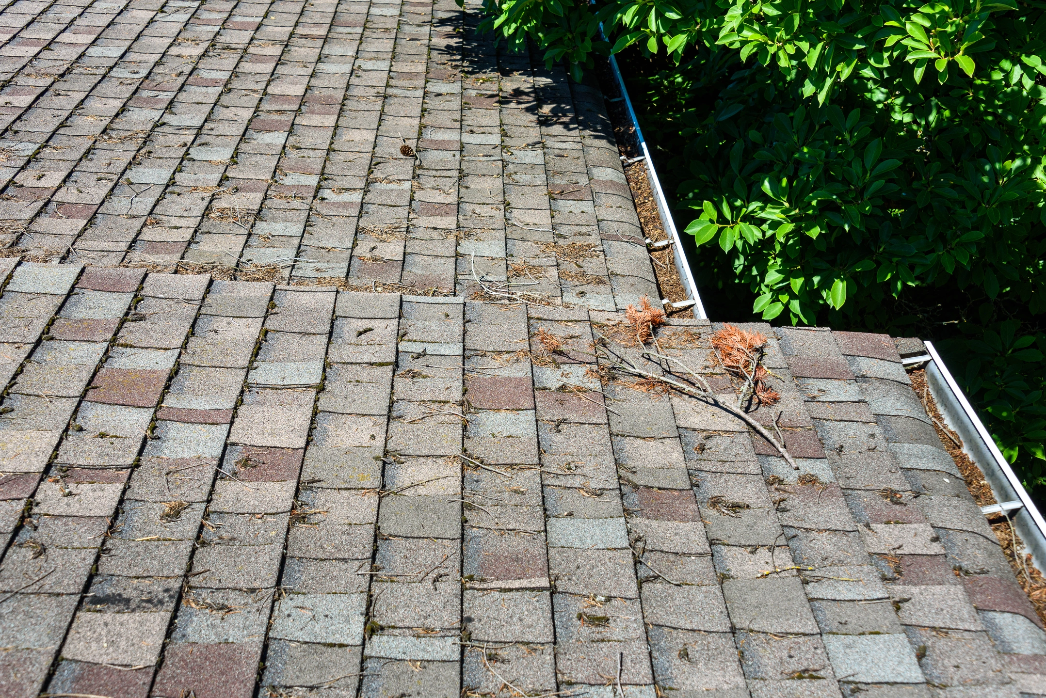 Tidds Roofing Group Inc